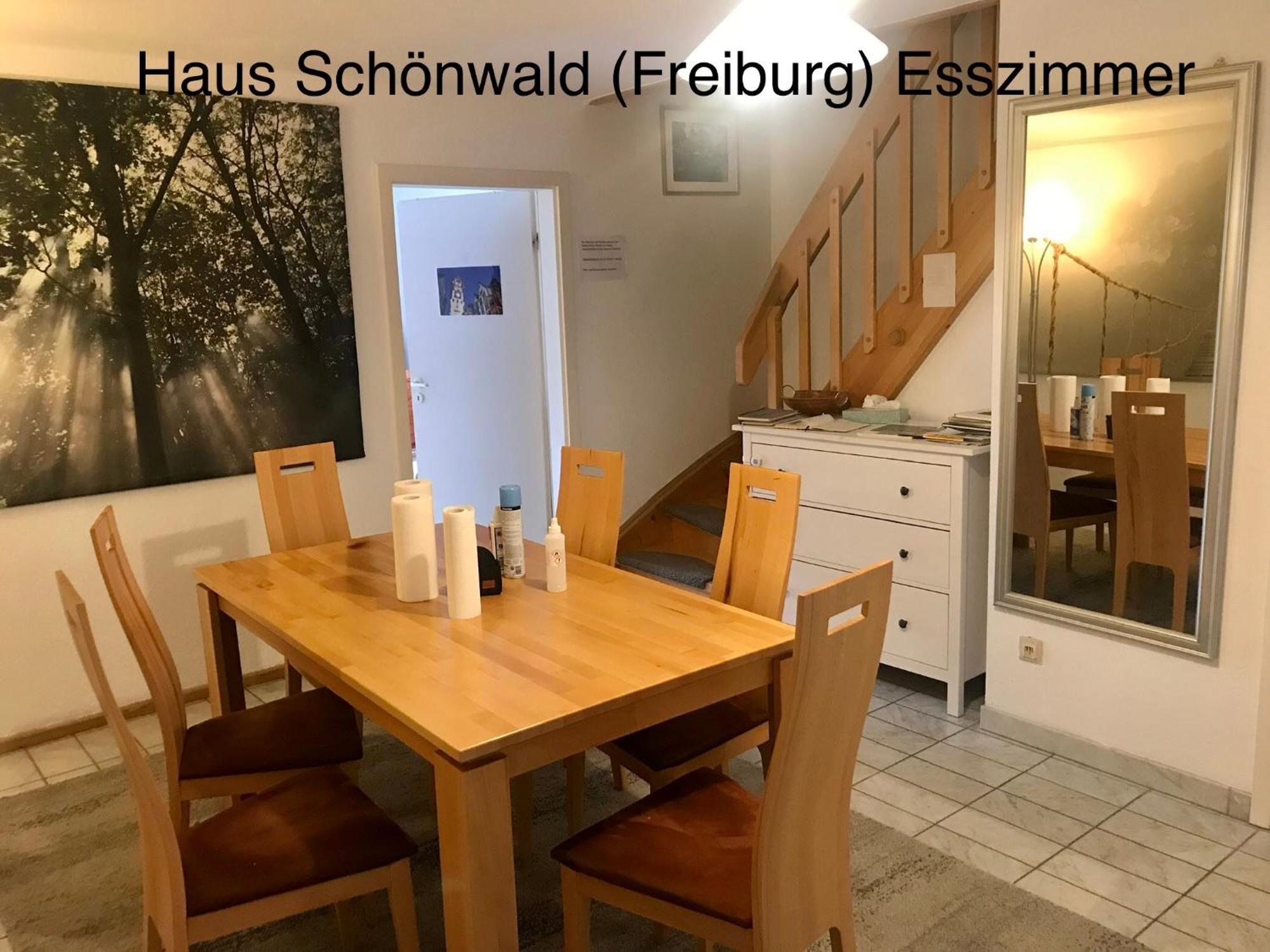 Haus Schoenwald Freiburg im Breisgau Exterior photo